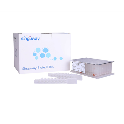 Nukleinsäure Viren-DNA-Reinigungs-Kit Magnetic Beads-RNS Reinigung Kit Singuway