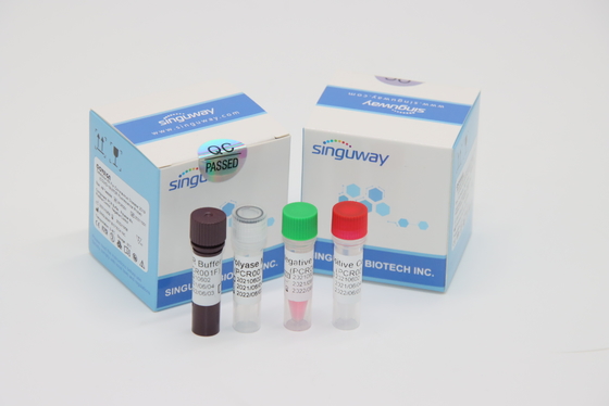 Mykobakterium-Tuberkulose-Virus Funktelegrafie PCR Diagnose-Kit Nasal Swab Within 30 Minuten