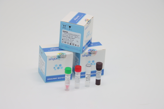 Labor unter Verwendung Test-Ausrüstungen Funktelegrafie PCR Covid klinische LP-Virus PCR-Medien-der Doppelputzlappen-Beispielausrüstung