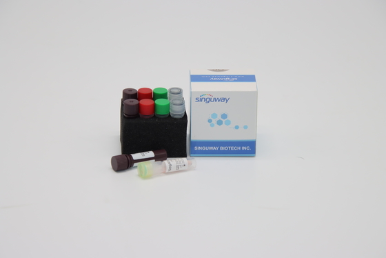CER ein Schritt Realzeit-Test-Kit For Hepatitiss B PCR-Ausrüstungs-HSV schnelles Virus