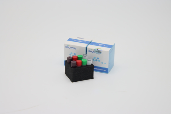 Hohe Kanäle der Empfindlichkeits-6 Multiplexrealzeitveränderungs-Prüfung pcr Kit For Covid 19