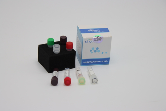 Vogelgrippe-Virus Funktelegrafie PCR-Prüfungs-Ausrüstung 48 96 Test-nasale Wischtest-Ausrüstung