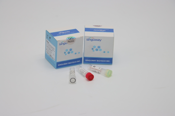 Thalassämie H3N2 PCR-Entdeckungs-Ausrüstung 48 96 Test-hohe Präzision