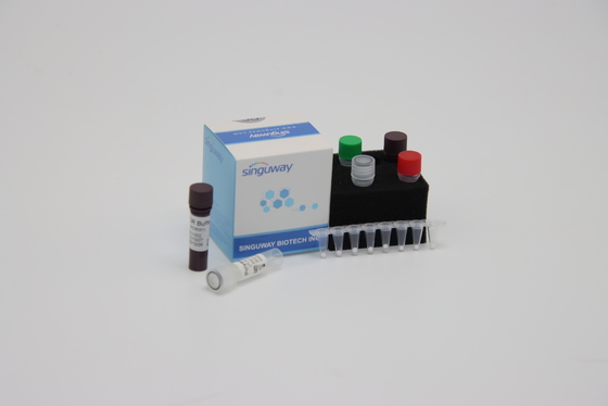 Molekulare Diagnose quantitative PCR-Entdeckung Kit Reagent ISO13485 innerhalb 30 Minuten