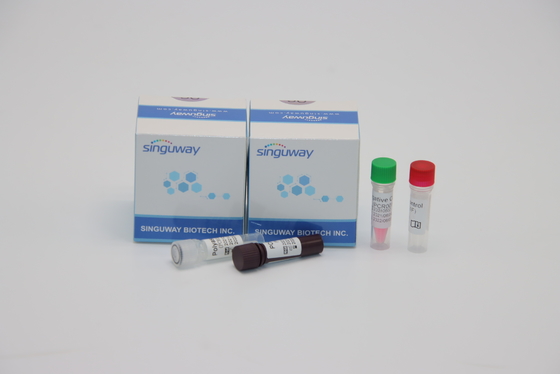 Fluoreszenz-Untersuchung PCR-Entdeckungs-Kit Nasal Swab Sample For-ADV Adenovirus-Prüfung