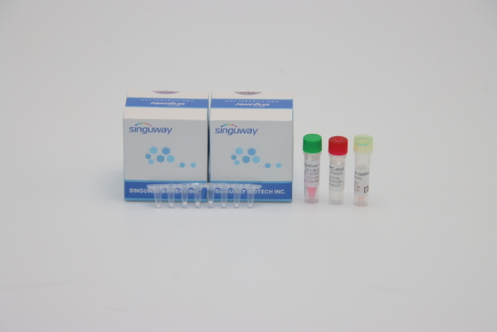 Schritt-Realzeit PCR Kit Highly Sensitive 96 der Grippe-A der Grippe-B eins PCR-Test-Ausrüstung HIV Tests