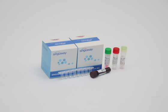 Beatmende syncytiale Viren-Funktelegrafie PCR-Diagnoseausrüstung RSV PCR-Entdeckung Kit Nasal Swab