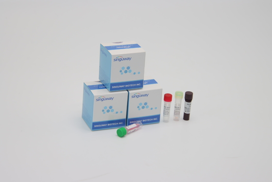 Hohes Empfindlichkeit PCR-Entdeckungs-Kit Alpha Beta Delta Gamma Mutations For-Labor unter Verwendung
