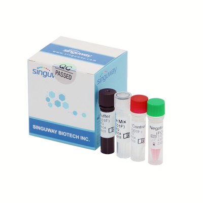 Hohe Präzision Covid-19 Realzeit-PCR-Entdeckung Kit Fluorescent Probe 50 Copies/Ml