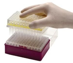 Laborkippung verbrauchbare PCR-Pipette Wegwerfmikropipetten-Umkippungen 10-1250μL Um