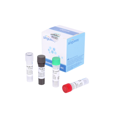 Leuchtstoff Grippe Funktelegrafie PCR-Test-Kit For Detectings 2019-NCoV ein Virus der Virus-Grippe-B