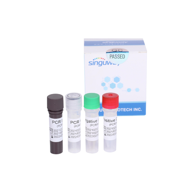 Virus DNA HBV der Hepatitis-B Realzeit-Empfindlichkeit PCR Kit Quantitative Diagnostic 30 IU/ML
