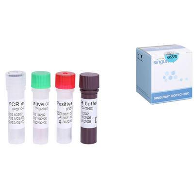Virus RNS HCV der Hepatitis-C schnelle Test-Kit Quantitative HCV Funktelegrafie PCR-Ausrüstung