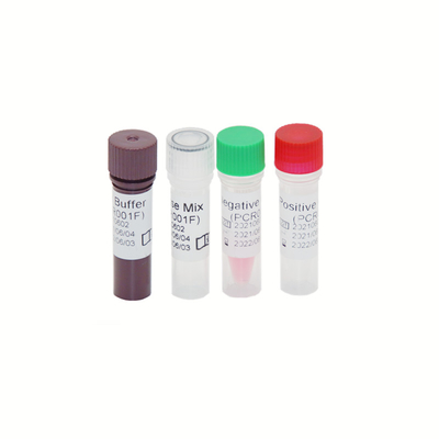 Pcr-Test Kit High Sensitivity Funktelegrafie Genom HBV HCV HIV-1 30 IU/ML