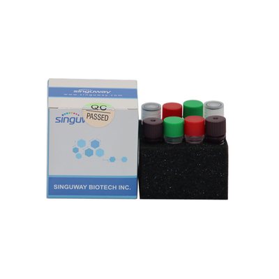 500 schneller Test Kit Qualitative 15 schreibt Copies-/MLempfindlichkeits-HPV HPV-Entdeckungs-Ausrüstung
