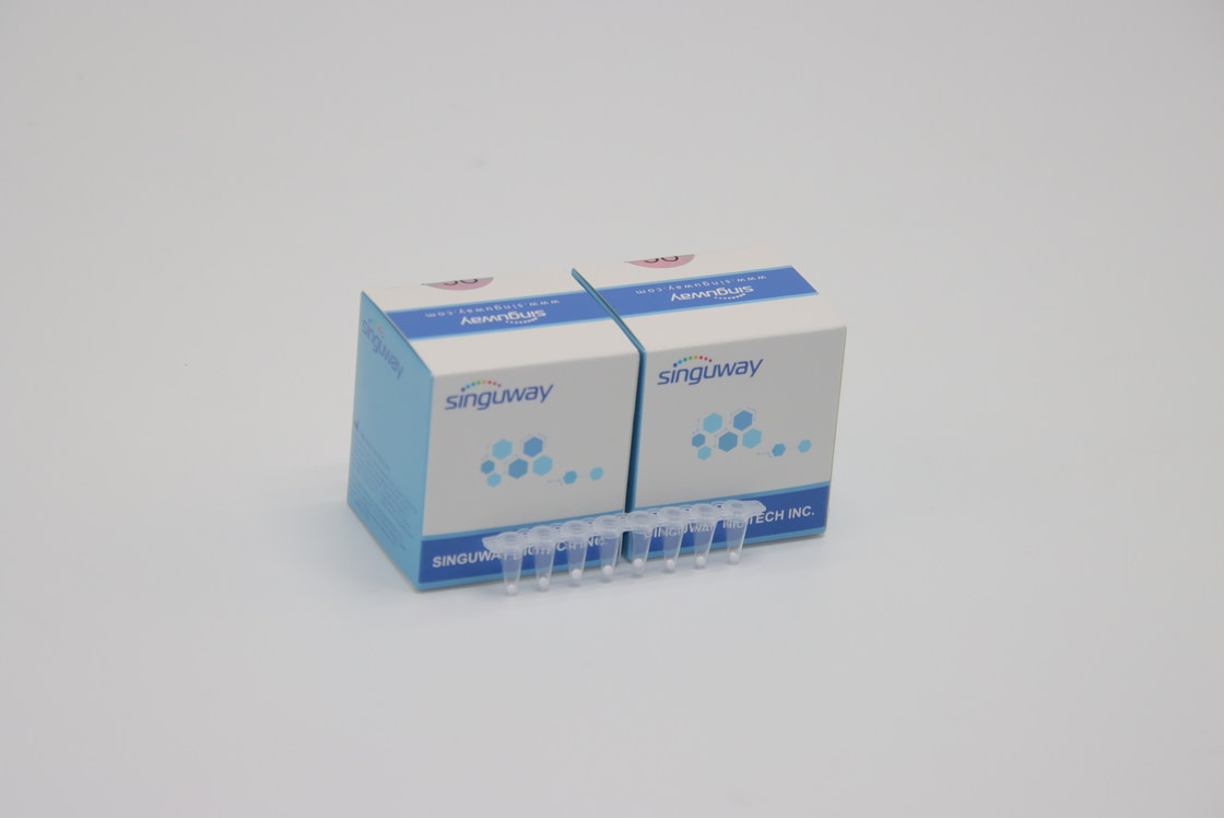 Hoher Stabilität HCV Realzeitschneller Test Kit Lab Reagent ISO13485