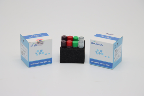 Virus Funktelegrafie PCR-Test-Kit Collections IVD der Tollwut-H1N1 Super Sensitive für Krankenhaus