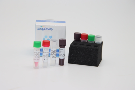 Test PCR-Ausrüstung der Boca Virus HBoV Funktelegrafie PCR-Wischtest-Ausrüstungs-ISO9001 quantitative Leuchtstoff