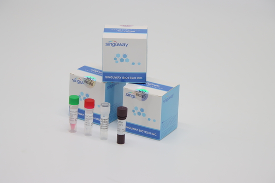 Entdeckung des Laborreagens Funktelegrafie PCR-Test-Kit High Stability For Varicella-Zoster-Virus-VZV