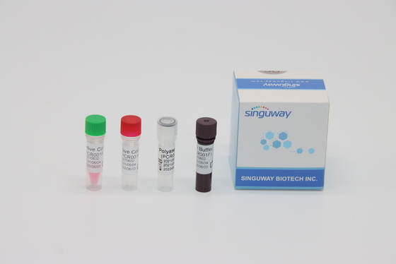 CMV Virus Funktelegrafie PCR-Test Kit Real Zeit Nucleic Acid, der ISO13485 prüft