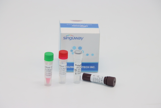 Quantitatives molekulares Virus Diagnose Funktelegrafie PCR-Test-Kit Real Zeit Fors HPV Tox