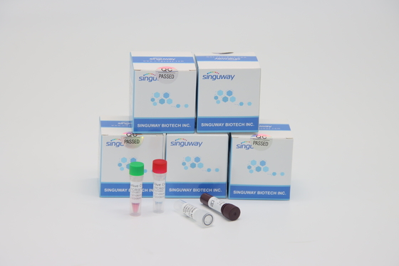 Ultraschneller Thalassämie-Virus Funktelegrafie PCR, der Kit Lab Using TB PCR-Ausrüstung prüft