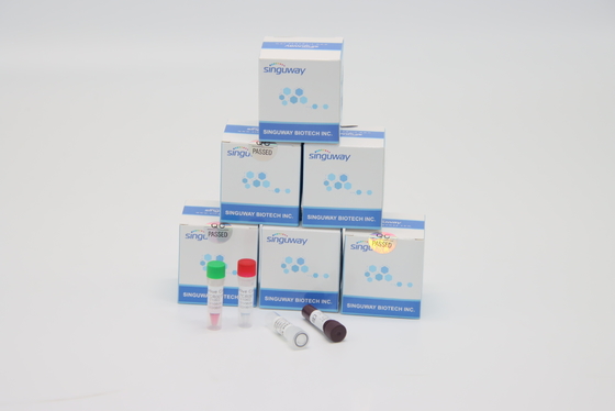 Pförtner-Virus Funktelegrafie PCR-Test Kit High Accuracy ISO9001 schneller Helicobacter