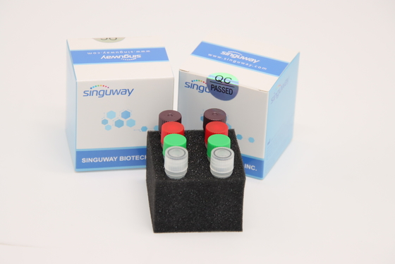Leuchtstoff Realzeit-Test-Kit Laboratory Use-CER HCV Funktelegrafie PCR-Ausrüstungs-HSV2