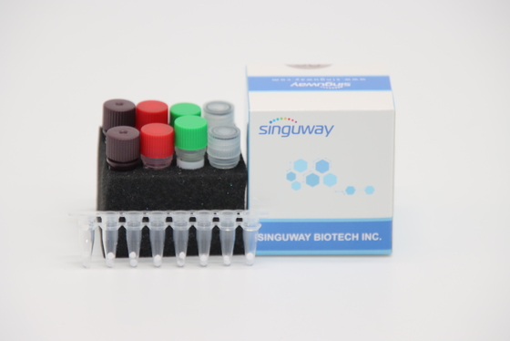 Virus IVD-quantitatives schnelles Funktelegrafie PCR Kit For Avian Influenza A Virus-H7N9