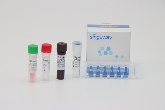 50 Copies/Ml Realzeit-PCR-Diagnoseausrüstungen für Fusion Gene Typing der Leukämie-BCR-ABL