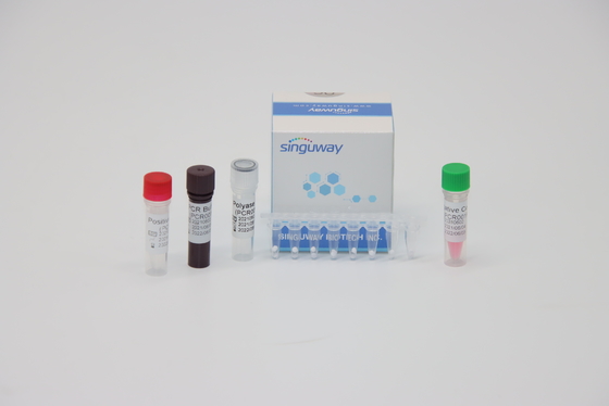 HPV 16 18 Virus-Nukleinsäure Prüfungsfunktelegraphie PCR-Test-Ausrüstung ISO13485