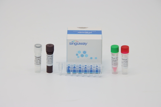 Genaue Dengue-Fieber Virus Funktelegrafie PCR-Test-Ausrüstung 48 96 Tests pro Reaktions-Volumen der Ausrüstungs-20uL