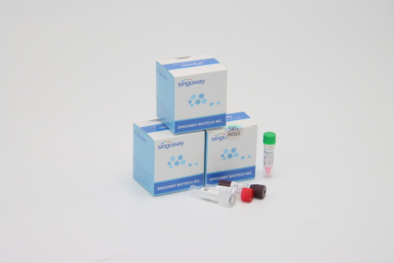 Schnelle klinische Diagnosen-hohe Präzision der RSV-Virus sofortige Funktelegrafie PCR-Test-Ausrüstungs-POCT IVD