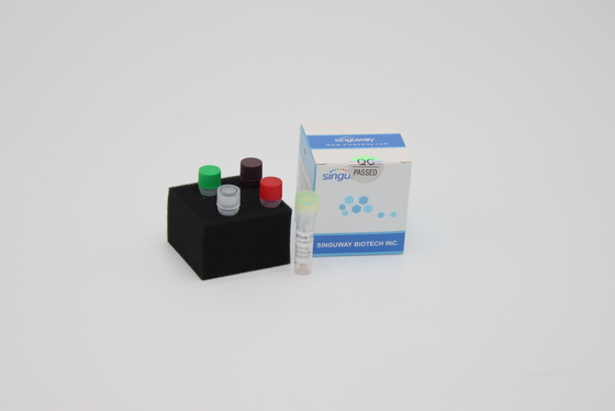 HBV HCV Realzeit-Reaktions-Volumen der PCR-Entdeckungs-Ausrüstung PCR-Verstärkungs-Ausrüstungs-20uL