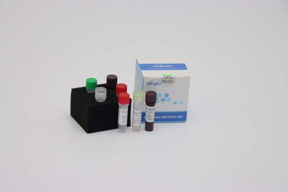 Laborschnelle Realzeit-Funktelegrafie PCR-Entdeckungs-Kit Reagents For Sars Virus-Multiplexentdeckung