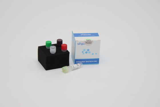 Hifipolymerase DNA-Rückseiten-Übertragung PCR-Ausrüstung Funktelegrafie PCR-Reagenzien Singuway