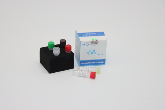 Ultraschneller Tollwut-Virus DNA PCR-Entdeckungs-Kit Reagents Required For PCR