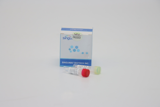 Funktelegrafie PCR-Ausrüstung Nukleinsäure-Prüfungsdengue-fieber Funktelegrafie PCR-Kit Nasal Swab Fluorescent