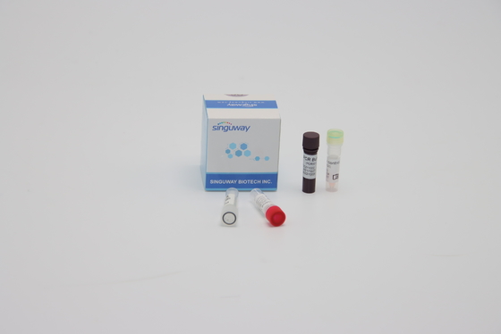 Mundputzlappen-Beispielquantitative Multiplex PCR-Reaktions-Reagenzien ISO13485
