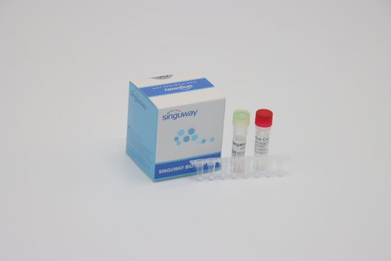 Klinische Diagnose IVD Realzeit-PCR-Reagens-Fluoreszenz, die eine Schritt PCR-Ausrüstung prüft