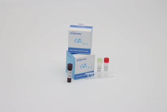 Super Sensitive Multiplexrealzeit-Reagenzien PCR Kit Coronavirus Nucleic Acid Detection