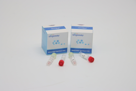 CER PCR-Wischtest Kit Hepatitis B und c-Test-Ausrüstungs-klinische Diagnose