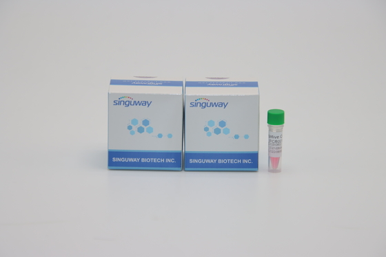 Pförtner HP hohe Präzisions-schnelle Schritt Funktelegrafie PCR Kit Lab Reagent For Helicobacter