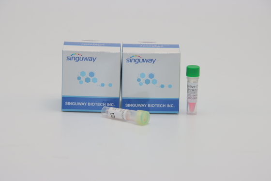 Virus Singuway HSV II PCR-Entdeckungs-Kit Quantitative Fluorescent For Genetic-Prüfung