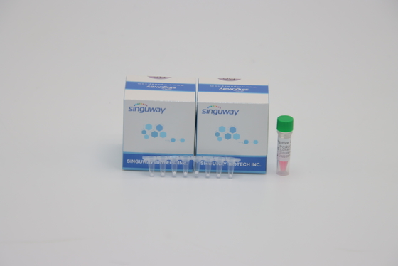 Mykobakterium-Tuberkulose TB PCR-Entdeckungs-Ausrüstung DNA des Laborpoct IVD, die ISO9001 prüft
