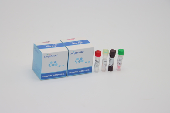Alpha Beta Delta Gamma Mutations One-Schritt QPCR Kit Oral Swab For Lab unter Verwendung