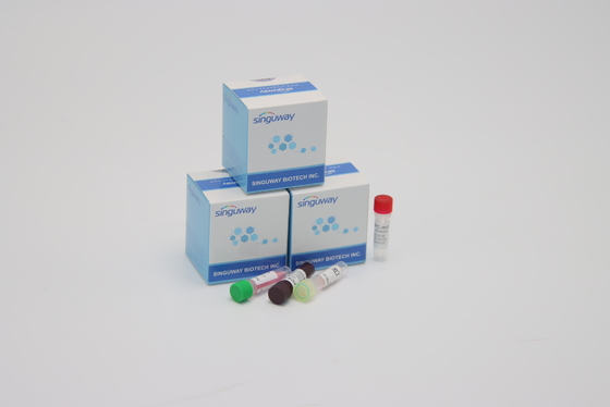CER Coronavirus-Test Realzeit-PCR-Diagnoseausrüstungen ultraschnell innerhalb 30 Minuten
