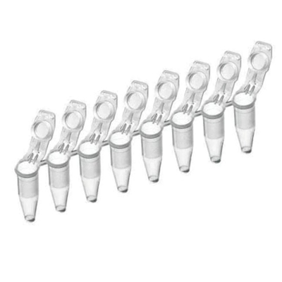 Labor-PCR-Zusätze Plastikwegwerf8 wohle PCR-Röhrenstreifen