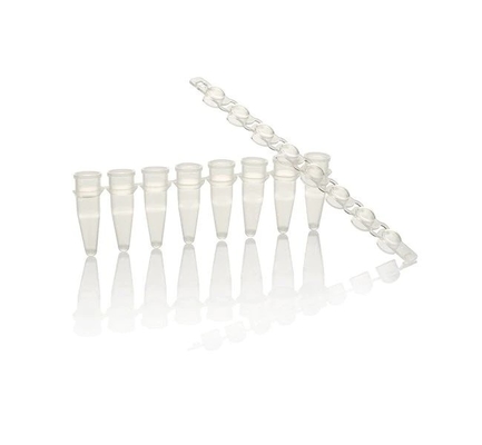 8 Verbands-Streifen-Pcr-Pint-Mikrorohr PCR-Zusätze dünnwandige PCR-Rohre 0,2 ml