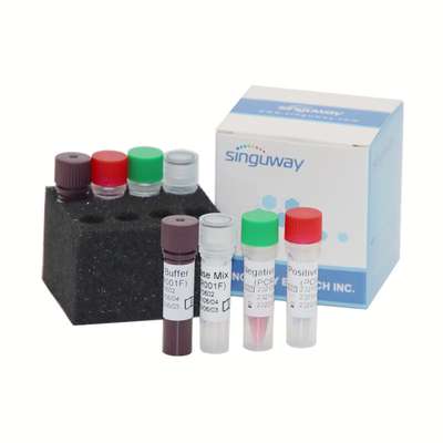 Qualitative Hauptempfindlichkeit MTHFR Gene Test Kit 50uL Volumen-2000 Copies/ML